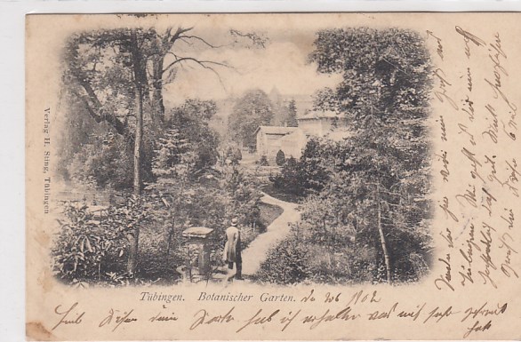 Tübingen am Neckar Botanischer Garten 1902 Tübingen am Neckar Botanischer Garten 1902