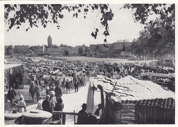 Wehlau Pferdemarkt Ostpreussen Polen 1964