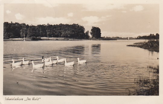 Goyatz am Schwielochsee im Spreewald Zaue 1952