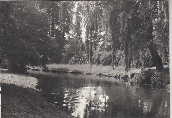 Bad Muskau Lausitz 1979