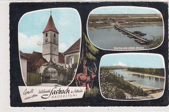 Sasbach am Rhein bei Endingen ca 1965 Sasbach am Rhein bei Endingen ca 1965