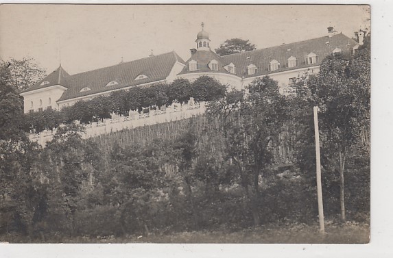 Schloss Rheinweiler Bad Bellingen Ortsteil Rheinweiler Foto Karte 1917 Schloss Rheinweiler Bad Bellingen Ortsteil Rheinweiler Foto Karte 1917