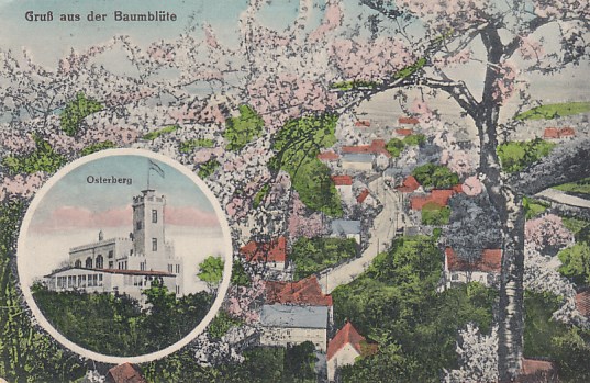 Osterberg bei Dresden-Cossebaude Baumblüte 1927
