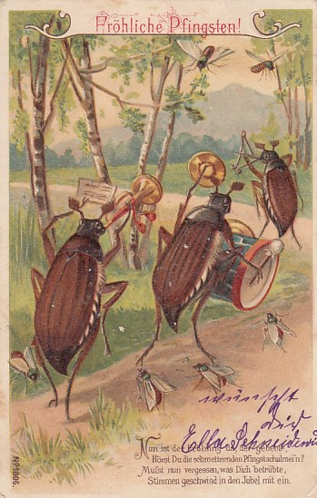 alte Glückwunsch Ansichtskarte Fröhliche Pfingsten Maikäfer Musik Prägekarte 1904