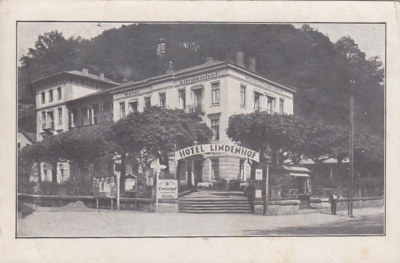Bad Schandau Hotel Lindenhof ca 1910
