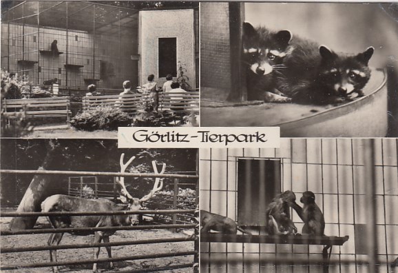 Görlitz Tierpark 1970